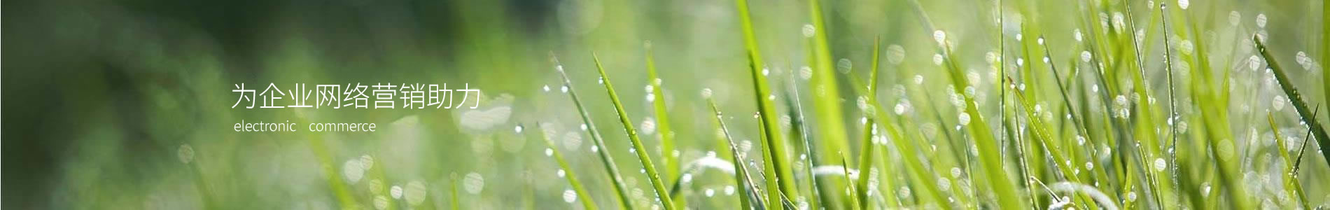˹ܿƼ޹˾